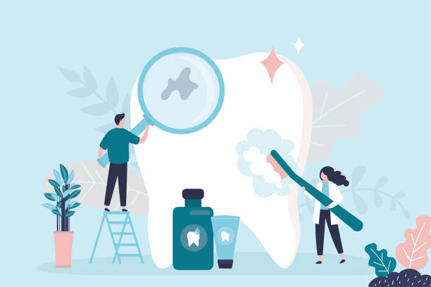 Best Preventive Dentistry  in Worth, IL